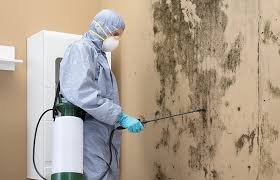 Mold Removal for HVAC Installations in Owings, MD